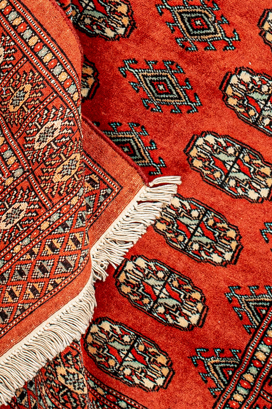 Pakistani Wool - Handmade Rug
