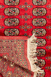 Pakistani - Handmade Rug