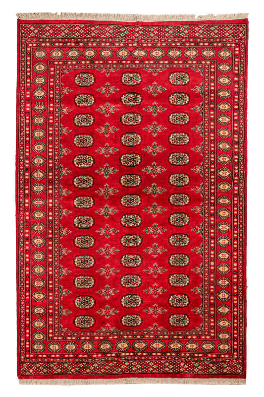 Pakistani - Handmade Rug