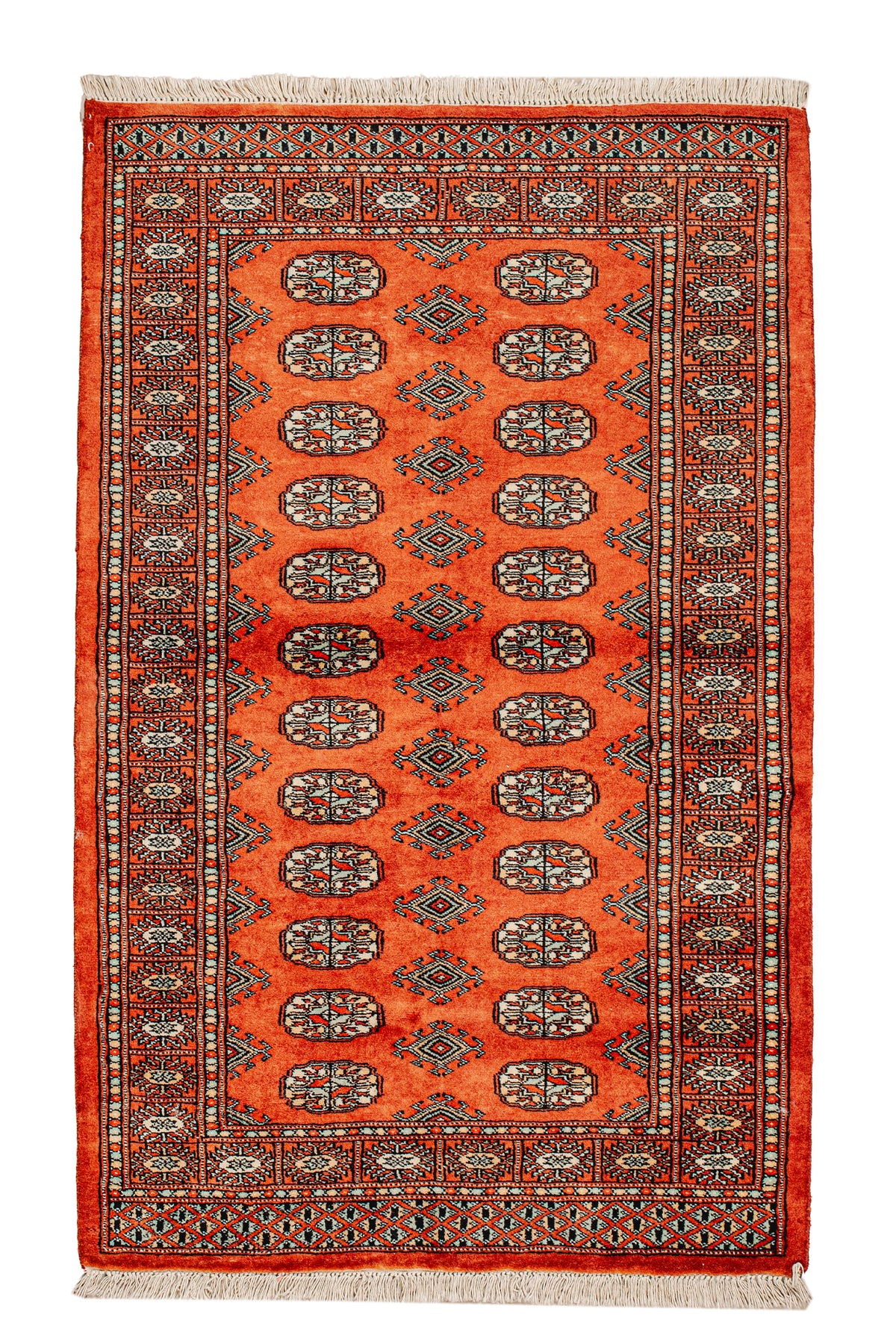 Pakistani Wool - Handmade Rug
