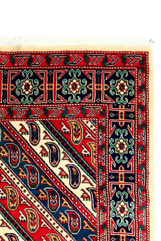 Shirwan Pakistani - Handmade Rug