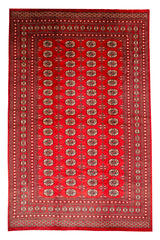 Pakistani  - Handmade Rug