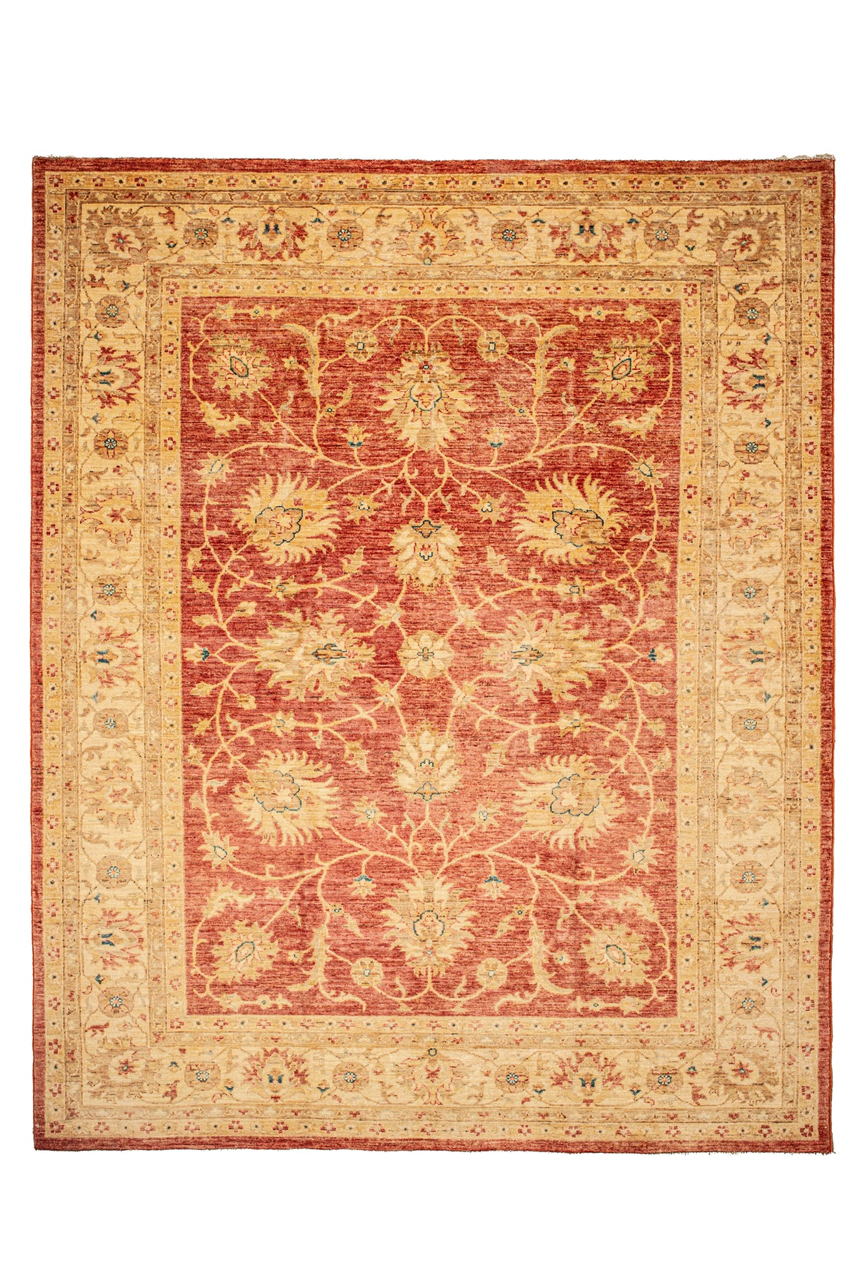 afghanian Zegler - Handmade Rug – Noul Store