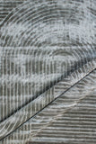 Tuftee - Hand Tufted rug